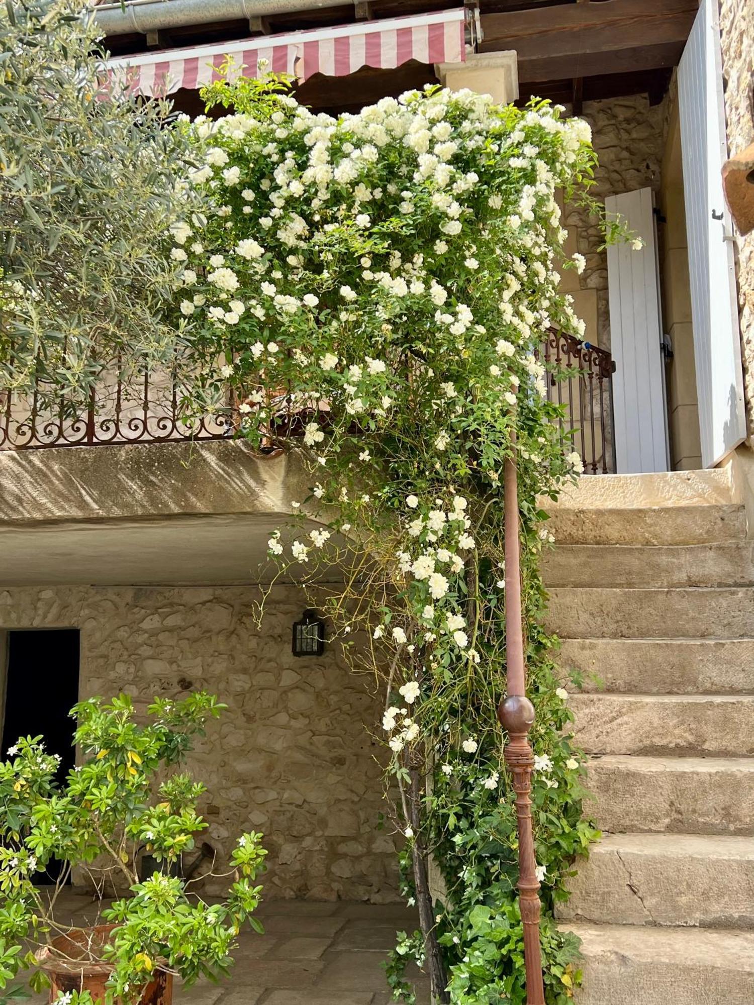 La Maison Des Autres, piscine chauffée, chambres d'hôtes proches Uzès, Nîmes, Pont du Gard Saint-Genies-de-Malgoires Esterno foto